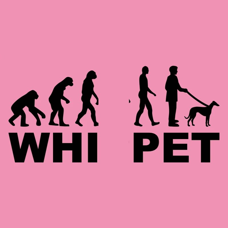Whippet