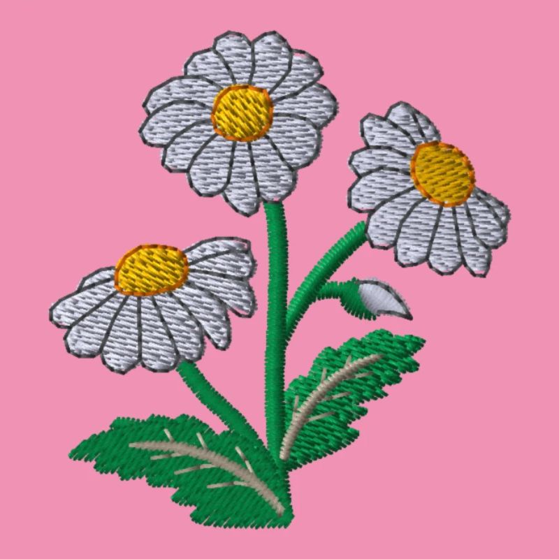 Gänseblümchen