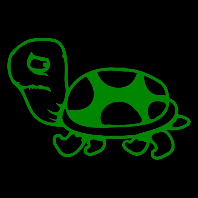Tortue Peur Timide Triste Malheureux