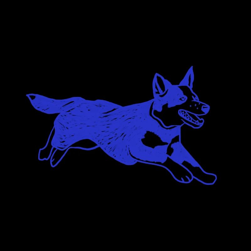 Bouvier australien chien courant