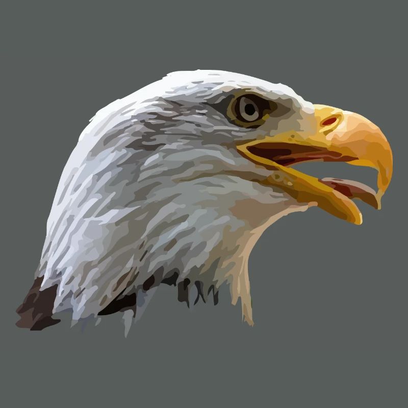 bald eagle
