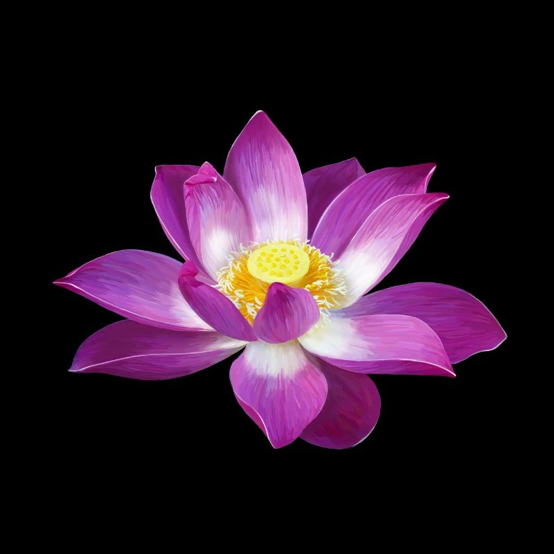 Lotus