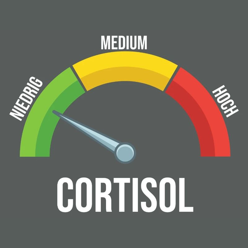 Cortisol Messgerät