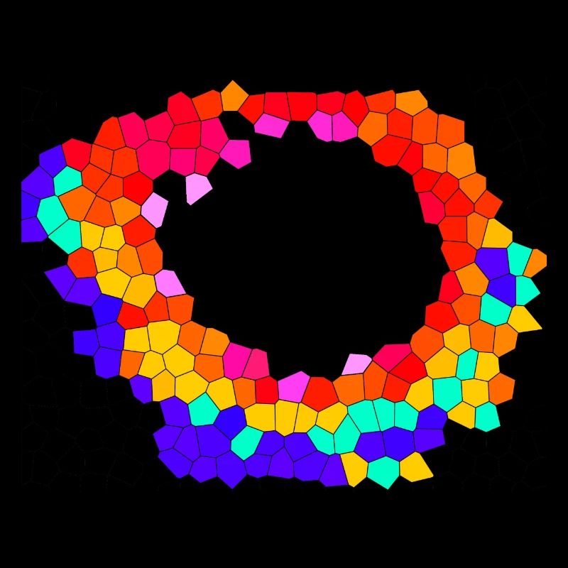 Voronoi Mosaic Orbit