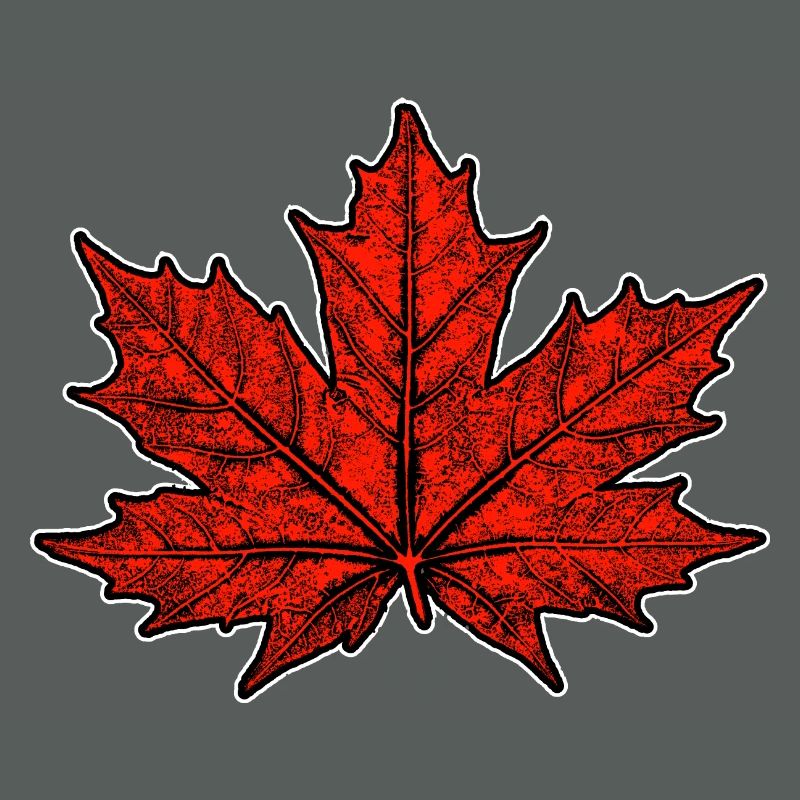 Maple / Leaf