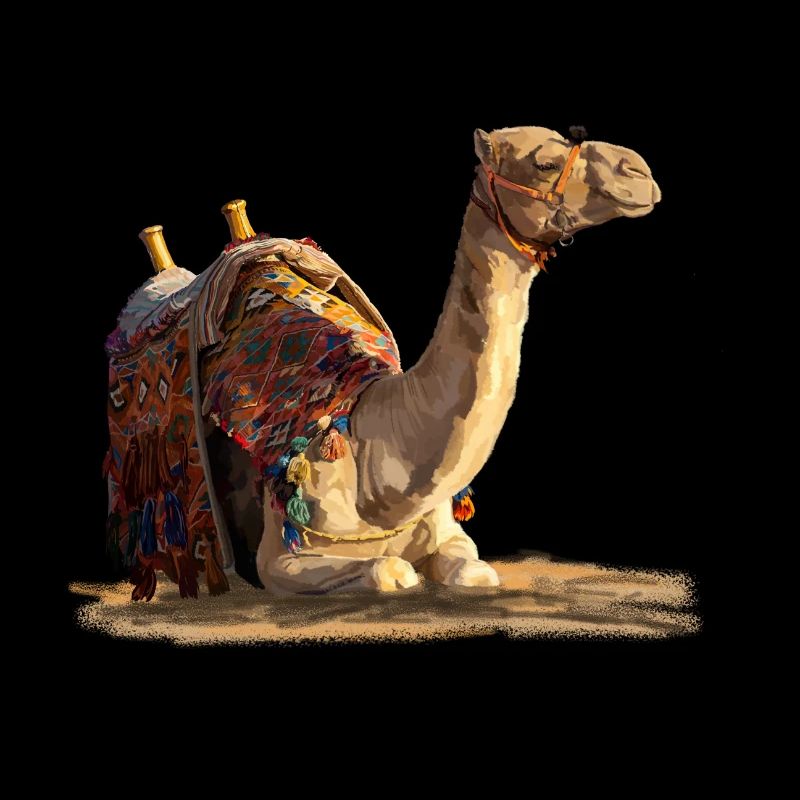 kamel