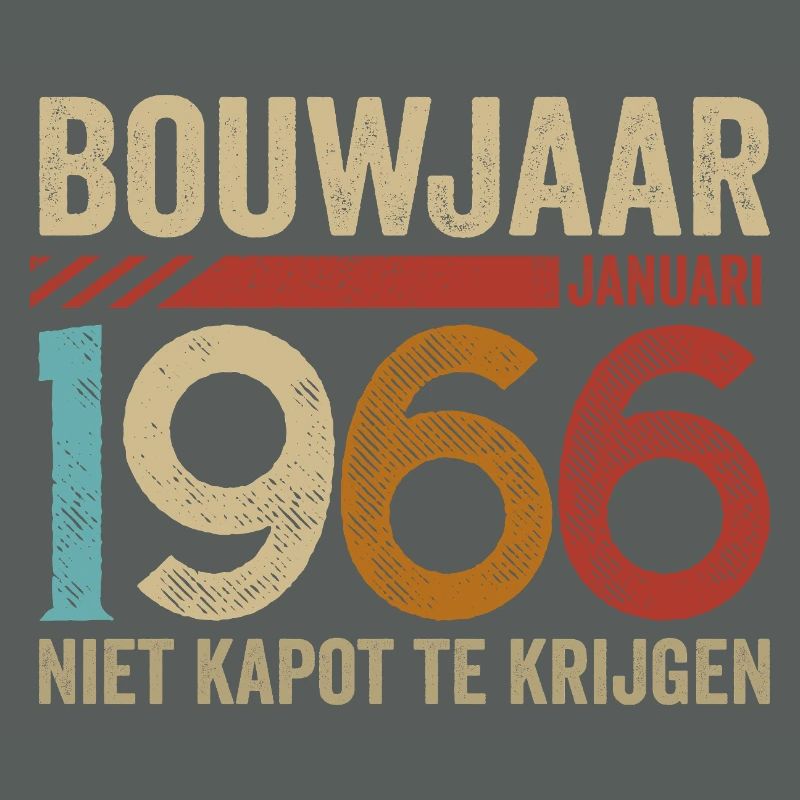 Année de construction : janvier 1966 ne peut être annulée