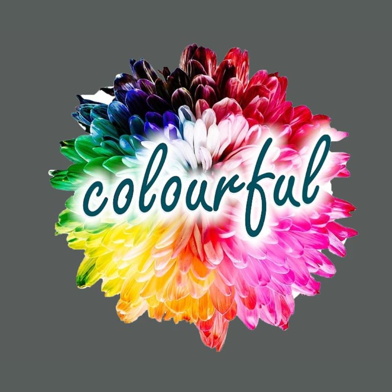 Regenbogenblume Farbexplosion