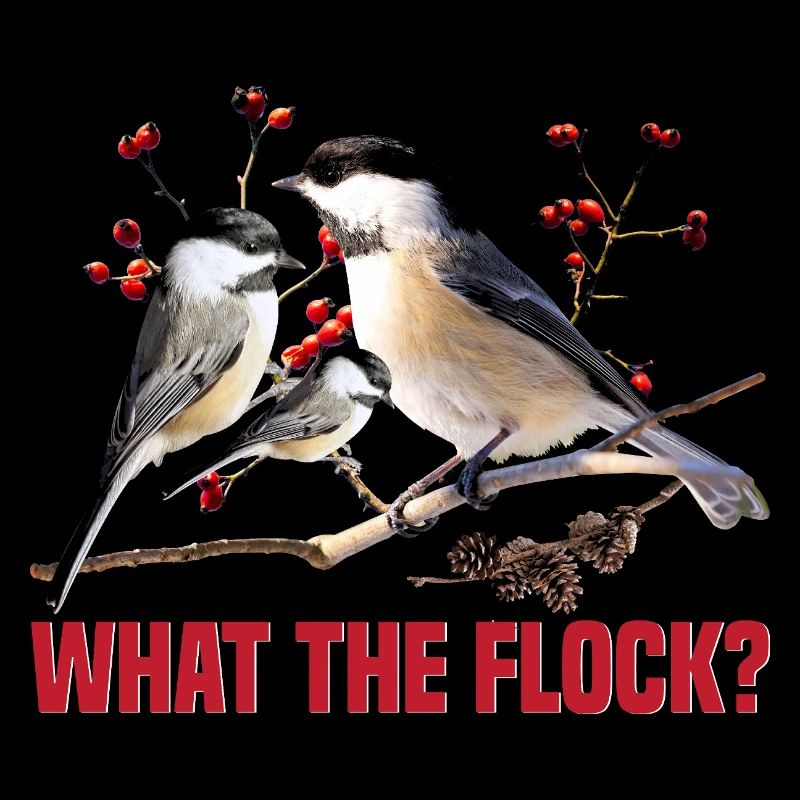  Chickadee Feeder Bird House Birdwatching Birder