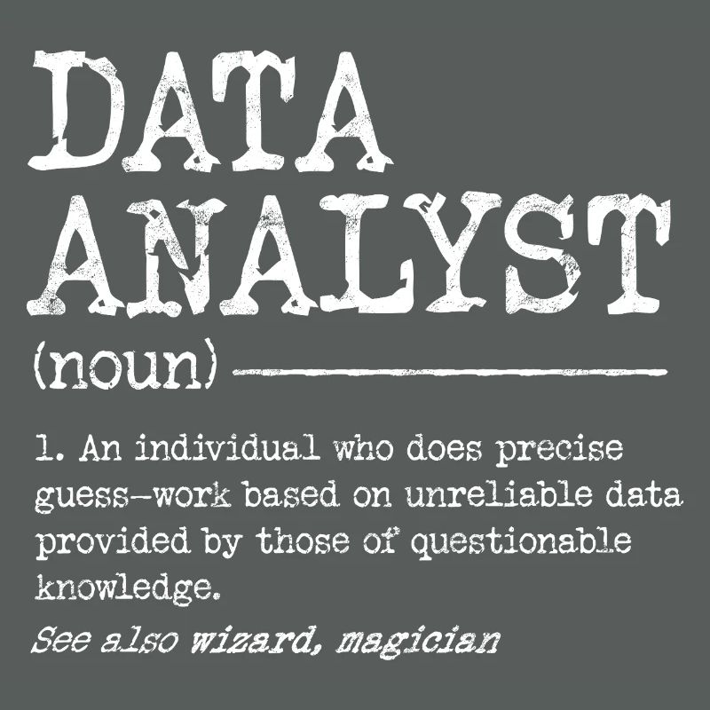 Data Analyst Meme Tee