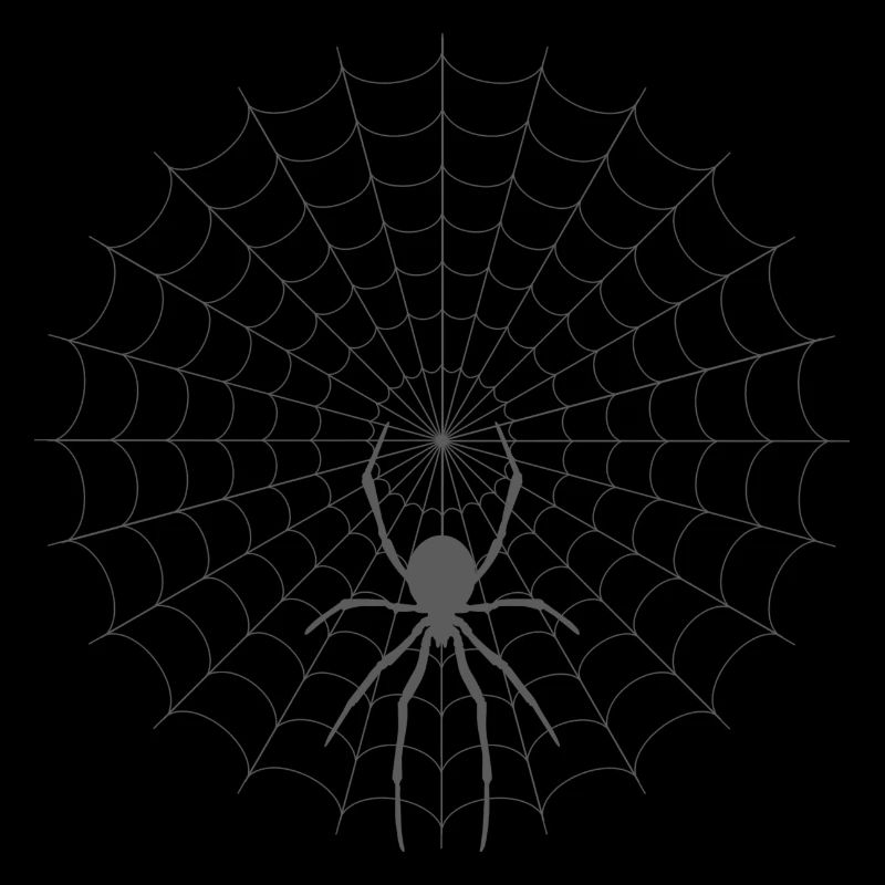 Spinnennetz Silhouette