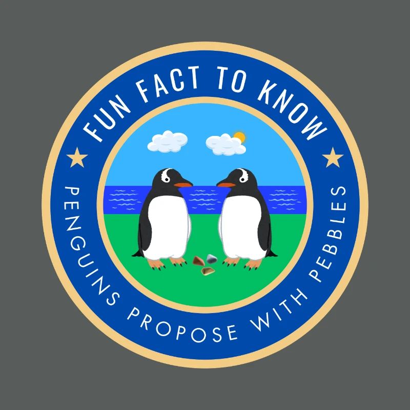 Penguins propose with pebbles