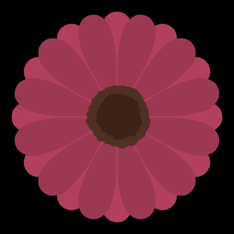 Motif de floraison de gerbère rose