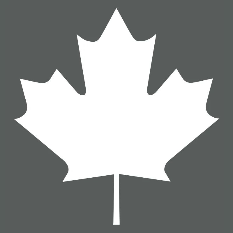 Une feuille d'érable