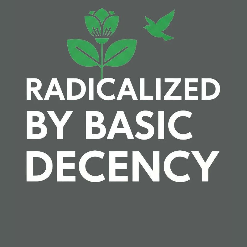 Radicalized By Basic Decency Statement shirt decal