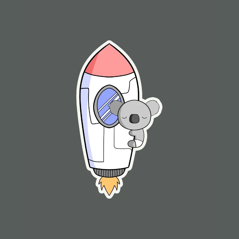 Koala rocket in orbit