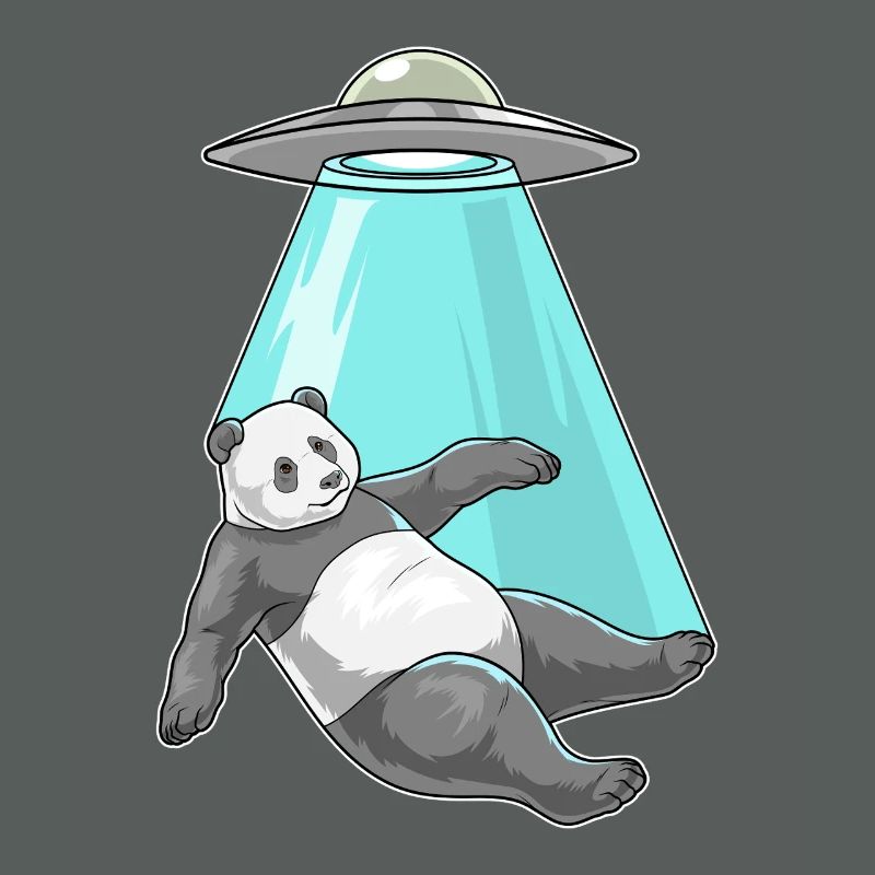 Vaisseau spatial Panda