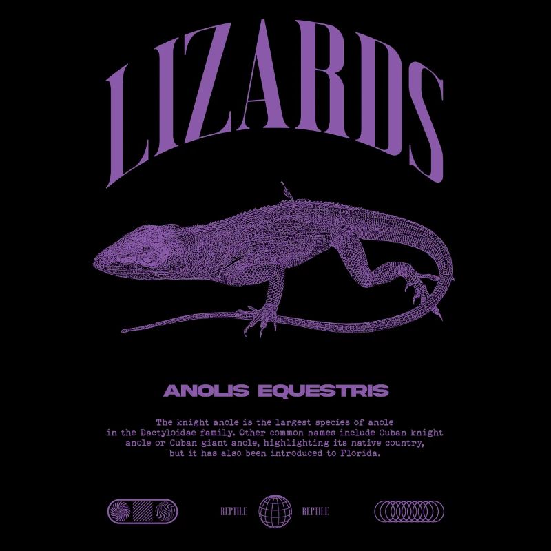 Cuban Knight Anole Reptile Keeper Lizard
