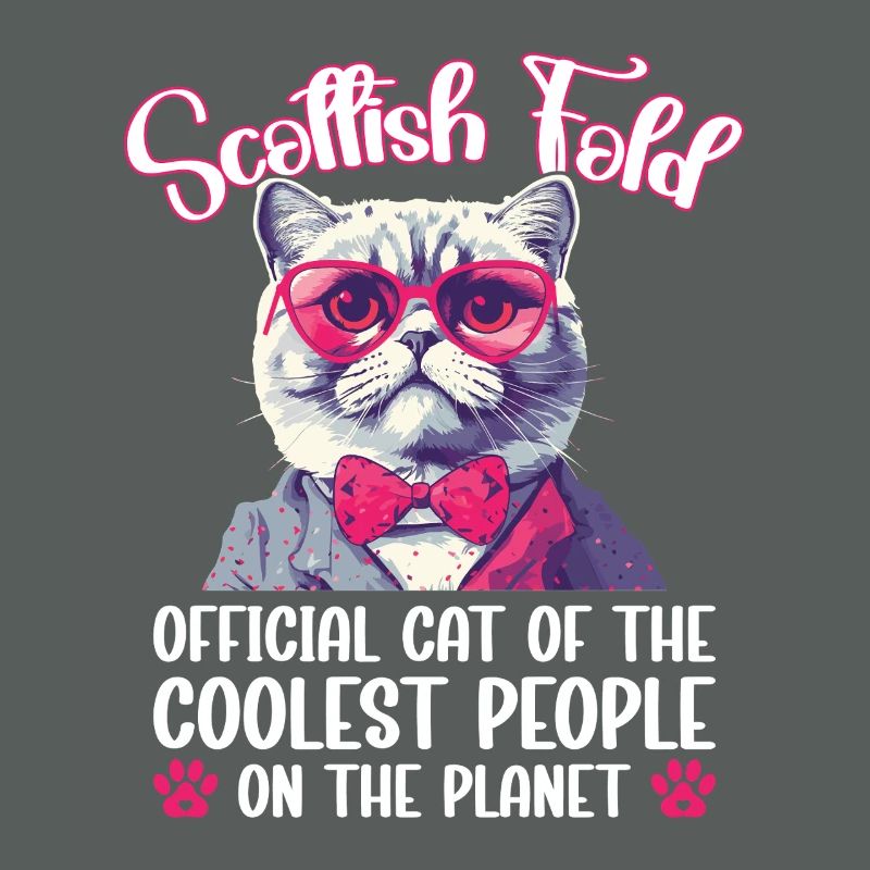 Scottish Fold Maman Propriétaire de chat Peluche Chat Écossais