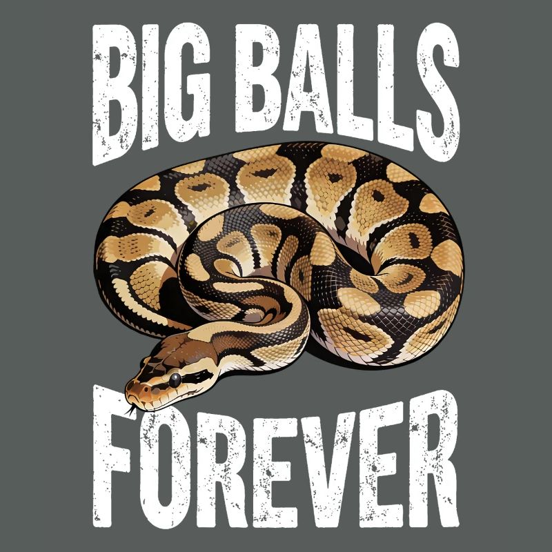 Python roi Serpents Amateurs de terrarium Python