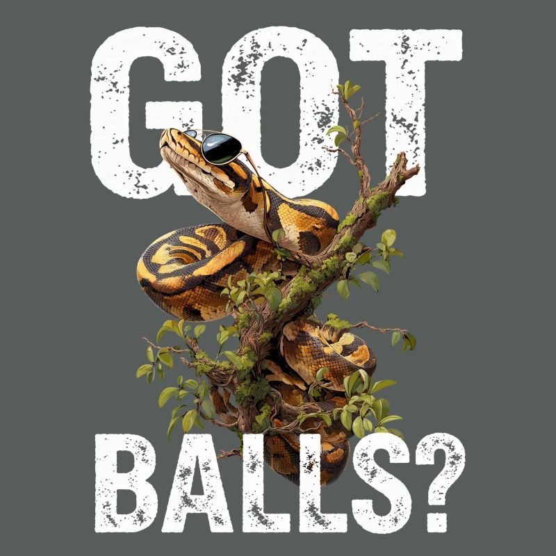 Python roi Serpents Amateurs de terrarium Python