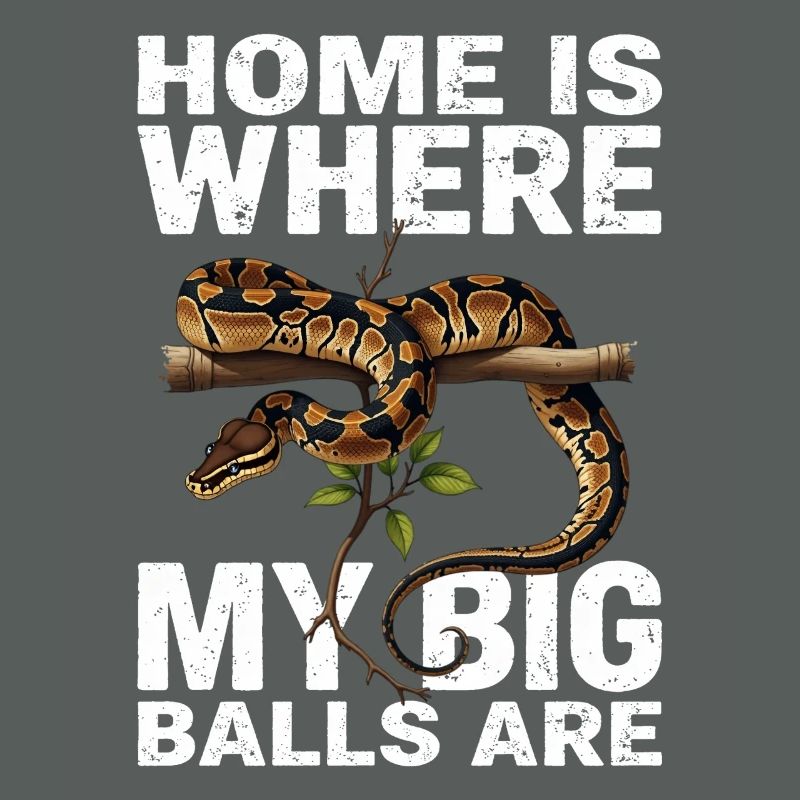 Python roi Serpents Amateurs de terrarium Python