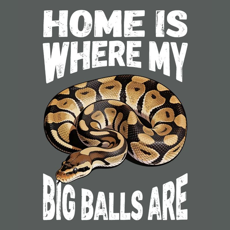 Python roi Serpents Amateurs de terrarium Python
