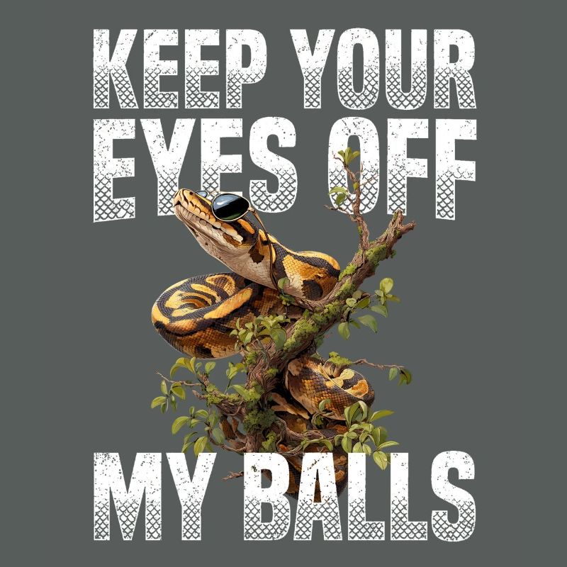 Königspython Schlangen Liebhaber Terrarium Python