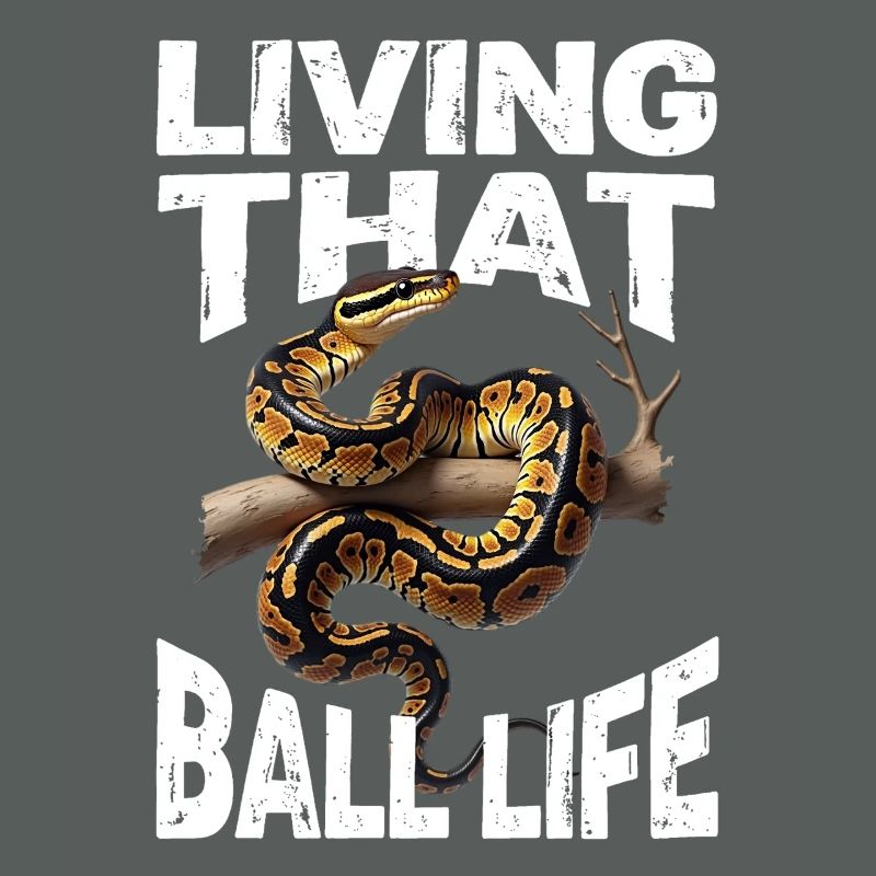 Python roi Serpents Amateurs de terrarium Python