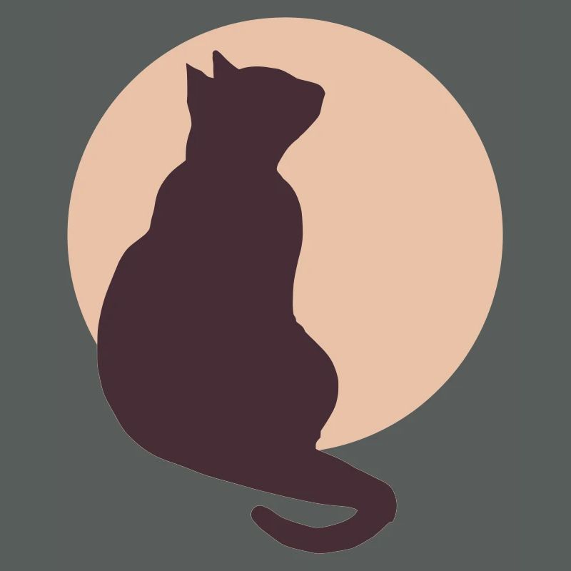 Chat de la Lune