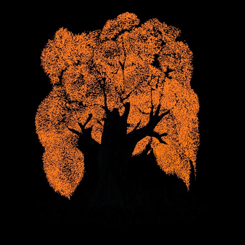 MJR - Orange Tree