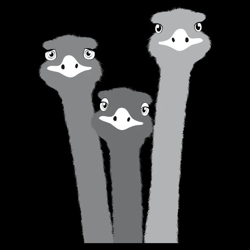 Nandu, ostrich head, emu, ostrich