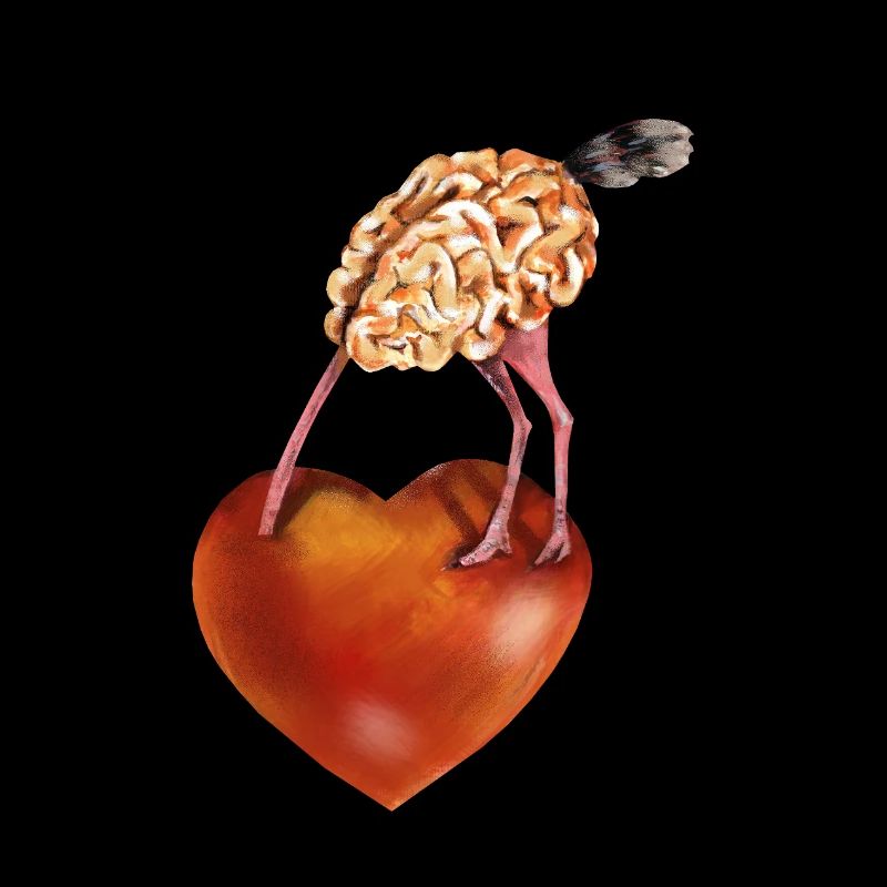 Brain and heart
