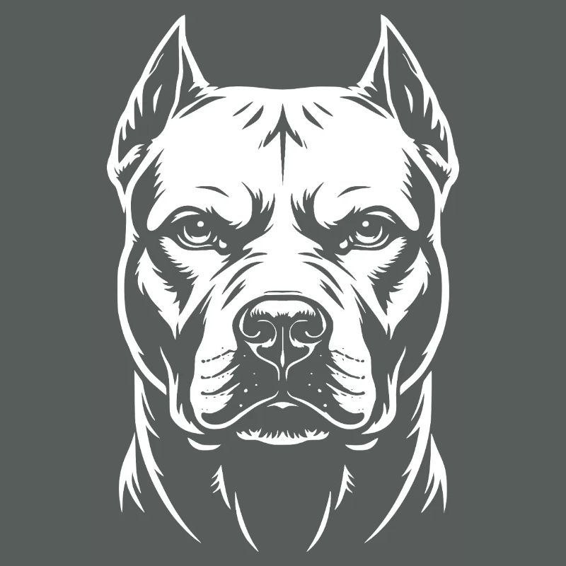 Pitbull Kopf 