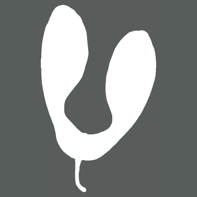 U-Shape Abstract Silhouette