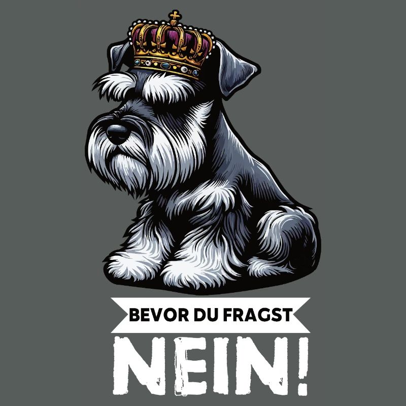 Avant que vous ne demandiez Pas de Schnauzer Géant