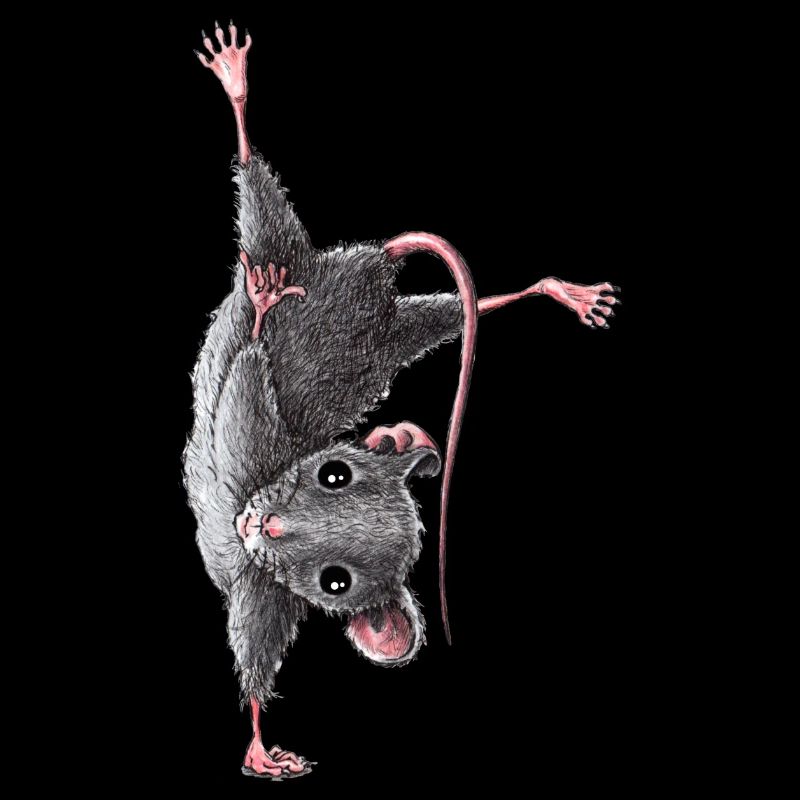 Maus