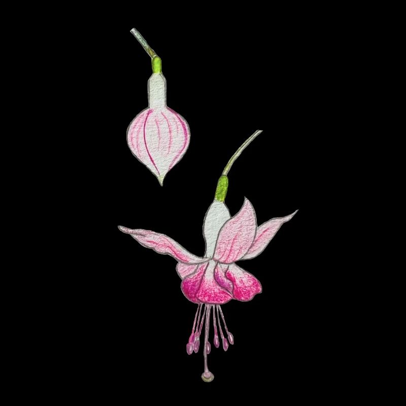 Fleur de fuchsia