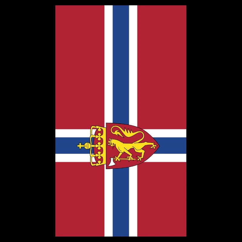 Norway flag phone case
