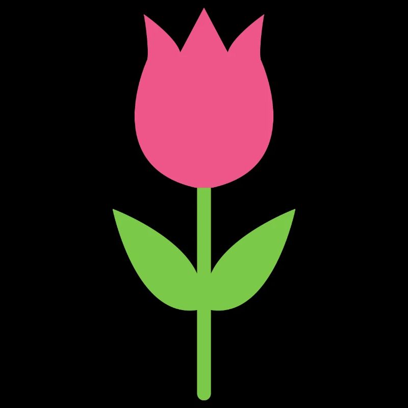 Tulipe