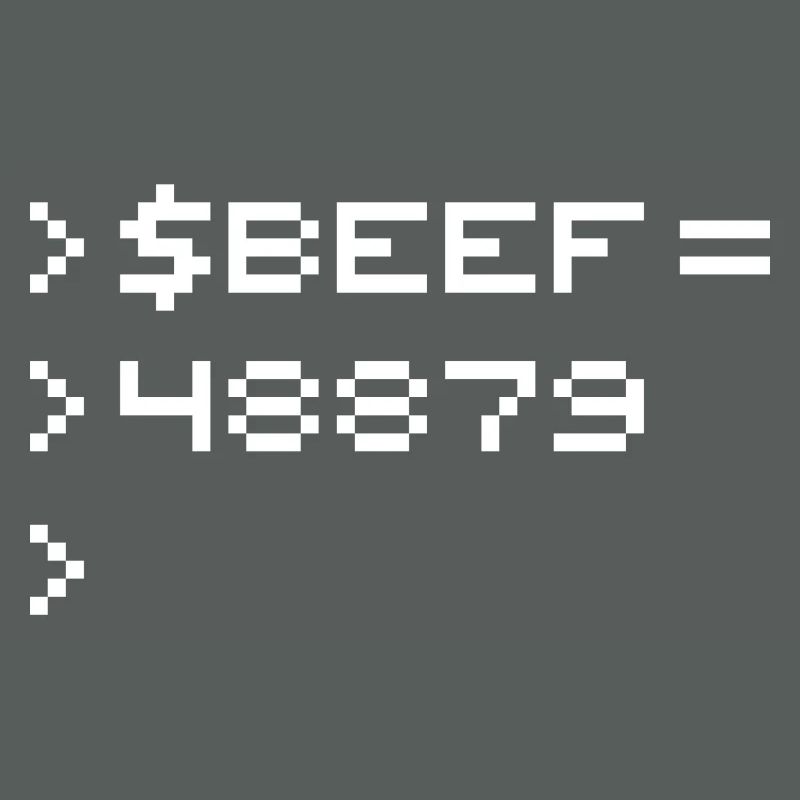 BEEF 8-Bit Code Nerd Pixel Terminal Retro