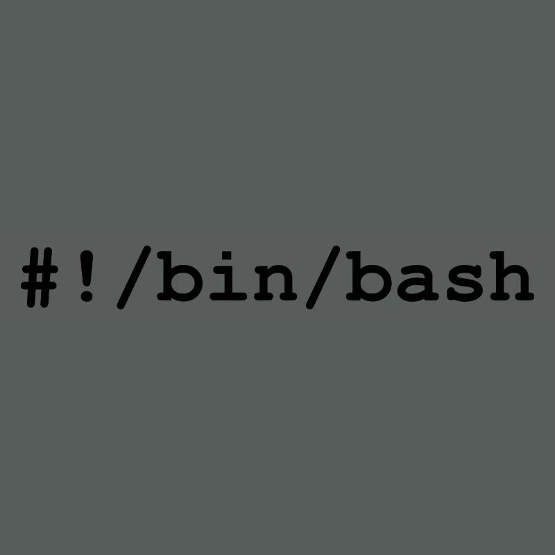 Shell bash / bourne-again sous Linux et Unix