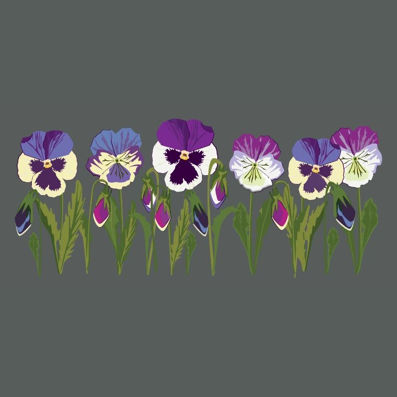 Rangée de fleurs de pensée en violet