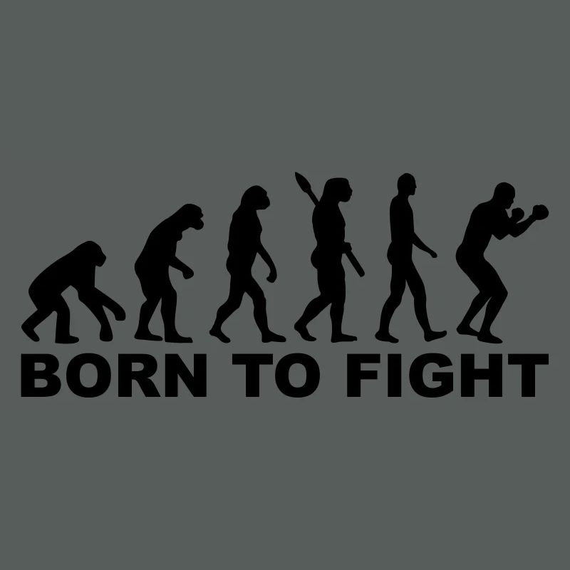 Boxen Evolution