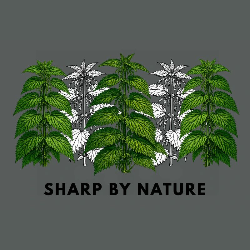 Stinging nettle is sharp by nature