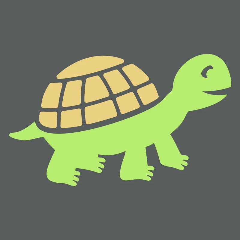 Cute turtle gift
