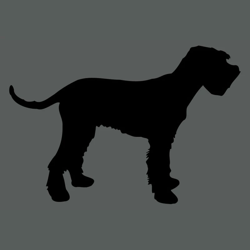 schnauzer géant