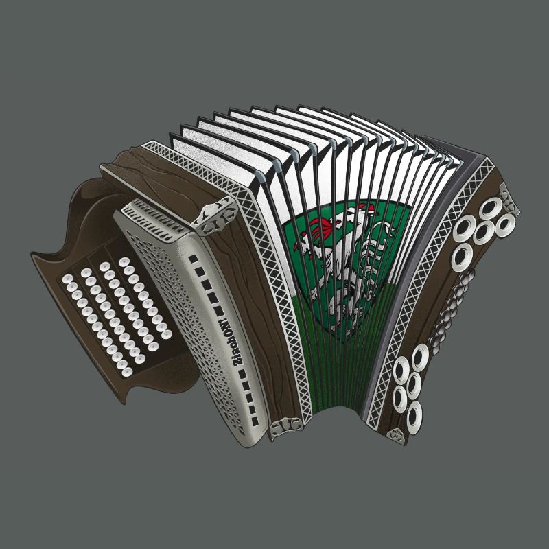 Styrian Harmonica - Styria | ZiachON!