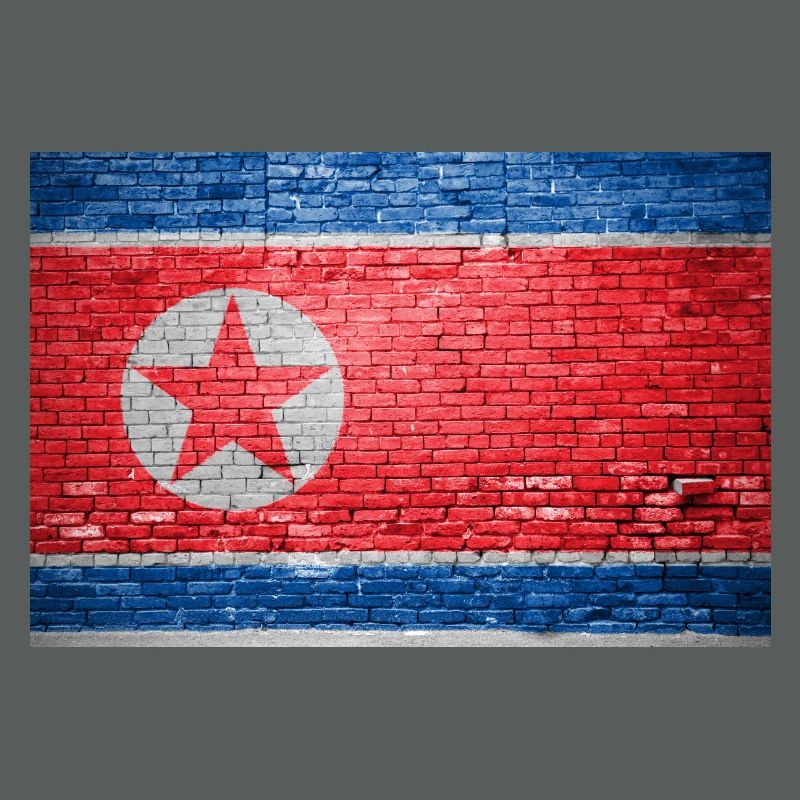 Drapeau de la Corée du Nord Graffiti sur mur de briques