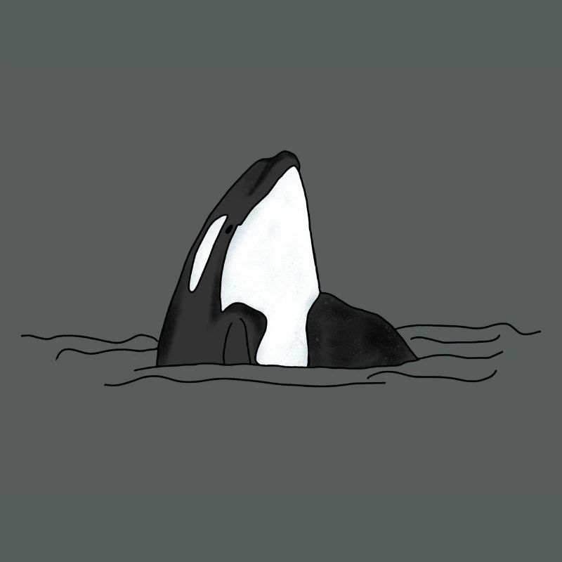 Orca